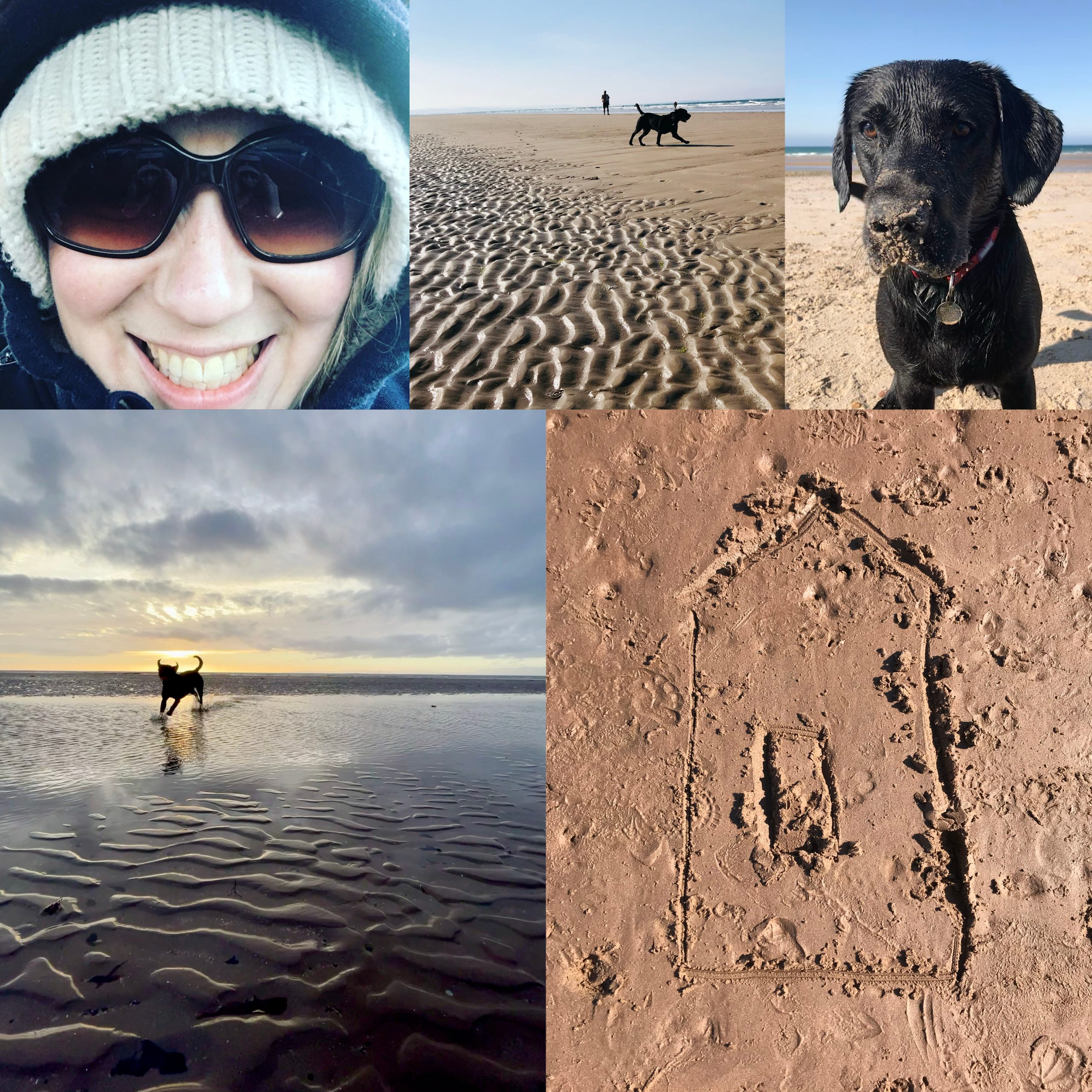 A collection of photos of Tess Wood and her dog playing on the beach in the sunshine.
